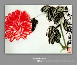 Chrysanthème