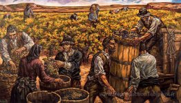 Vintage à Ribera del Duero