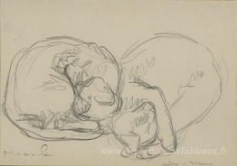 Deux chats endormis
