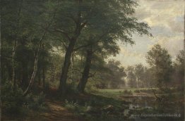 Paysage forestier avec ruisseau