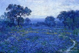 Scène Bluebonnet