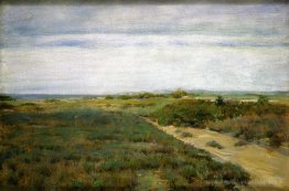 Près de la mer (alias shinnecock)