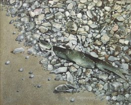 Poisson et rochers