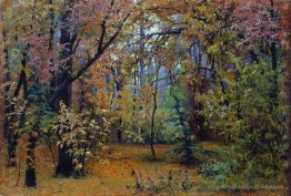 Forêt d'automne