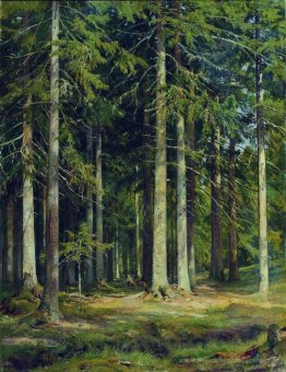 Forêt de sapins