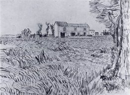 Ferme dans un champ de blé
