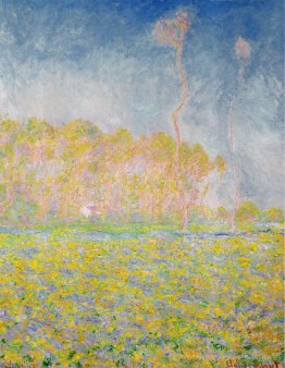 Paysage printanier