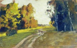Soirée d'automne. Sentier dans la forêt.