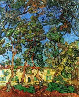 Le terrain de l'asile