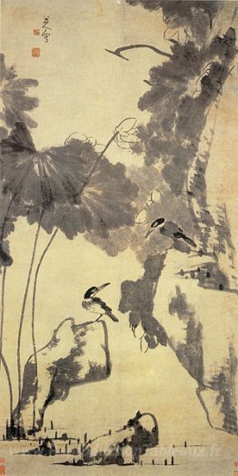 Lotus et oiseaux