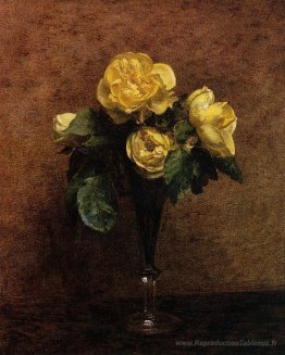 Fleurs Roses Marechal Neil