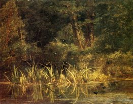 Scène de la rivière avec des hirondelles de grange