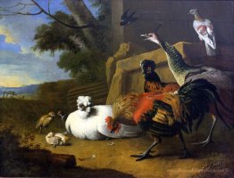 La cour de volaille