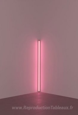 Pink hors du coin (à Jasper Johns)