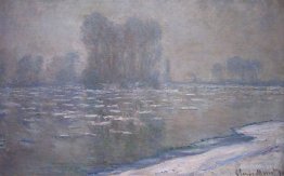 Floes de glace, matin brumeux