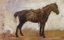 Mishka à cheval