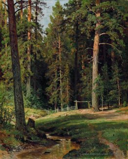 Bord de la forêt
