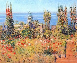 Hollyhocks, îles de Shoals