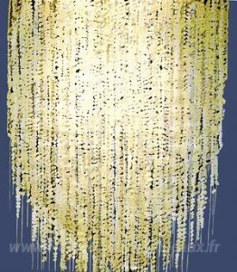 La pluie de lumière