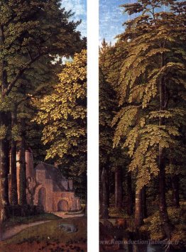 Scène forestière