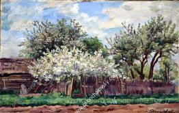 Jardin en fleurs