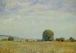 Champs de Saint Cloud