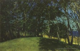 Grove au bord de la mer. Sillamyagi