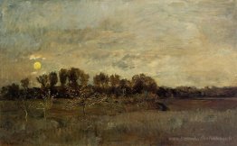 Le verger au coucher du soleil