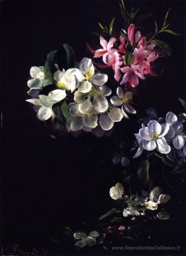 Croquis des fleurs de pomme avec des fleurs de mai