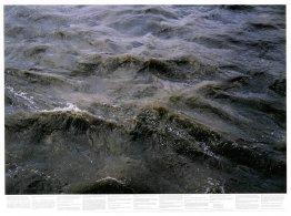 Sans titre (de la série Still Water (la Tamise de la rivière, pa