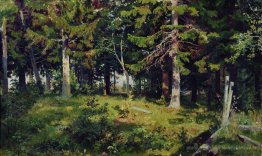 Claitement dans la forêt