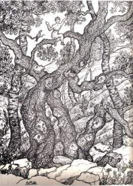 Sans titre (forêt)