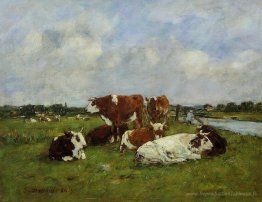 Pâturage sur les rives des touques