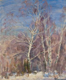 Bouleau dans la neige
