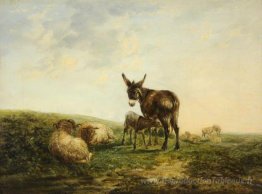 Âne et mouton