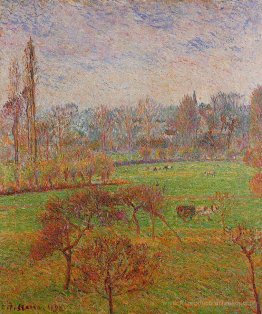 Matin d'automne