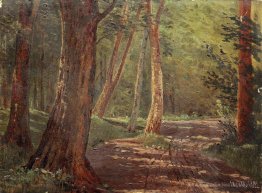 Route forestière