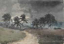Tempête, Bahamas