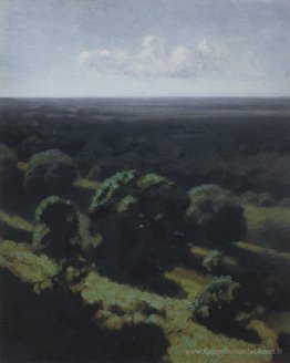 Étendue de la forêt