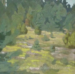 Forêt