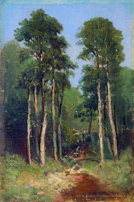 Courant de forêt