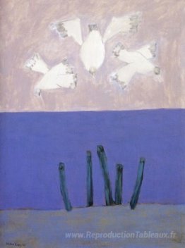 Oiseaux sur le ciel