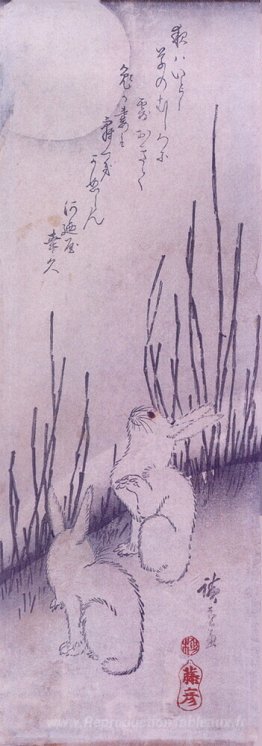 Lapins sous lune