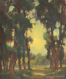 Vista de forêt