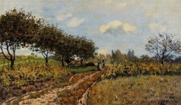 Chemin dans le pays