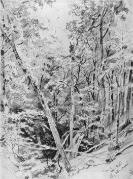 Suuch Khan. Crimée