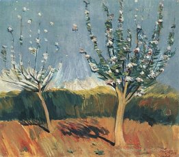 Pommiers en fleur