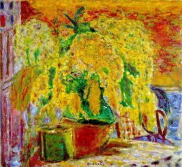 Tas de mimosa