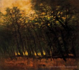 Incendies dans la forêt