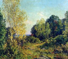 Approche de l'automne